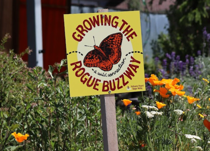 Explore citrus! | Ashland Food Coop